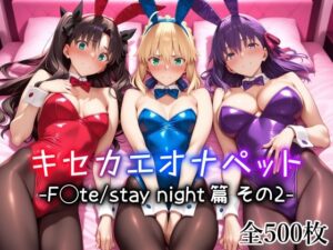 d_725863 キセカエオナペット -F◯te stay night篇 その2- 愛玩ファクトリー